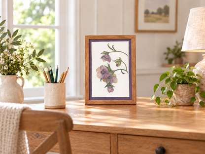 Helebores