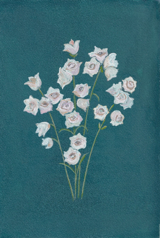 Delicate Blooms
