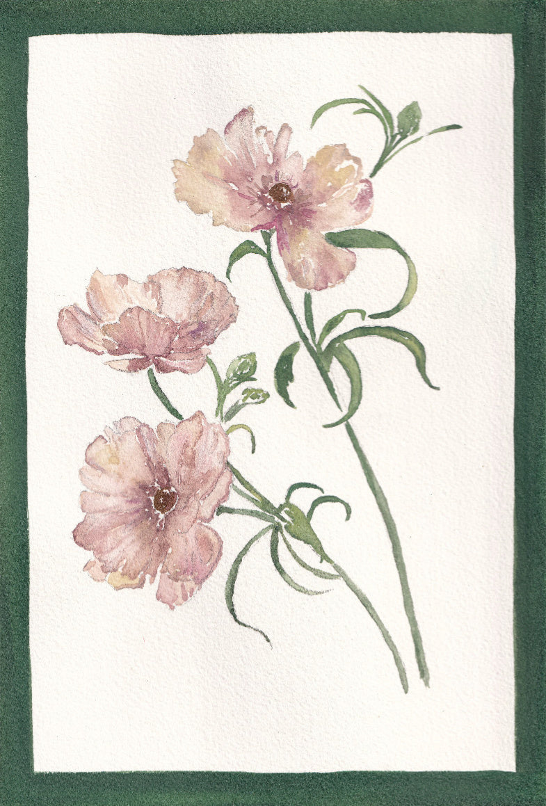 Wild Roses